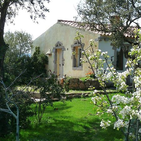 La Scala Guesthouse Berchiddeddu Exterior photo