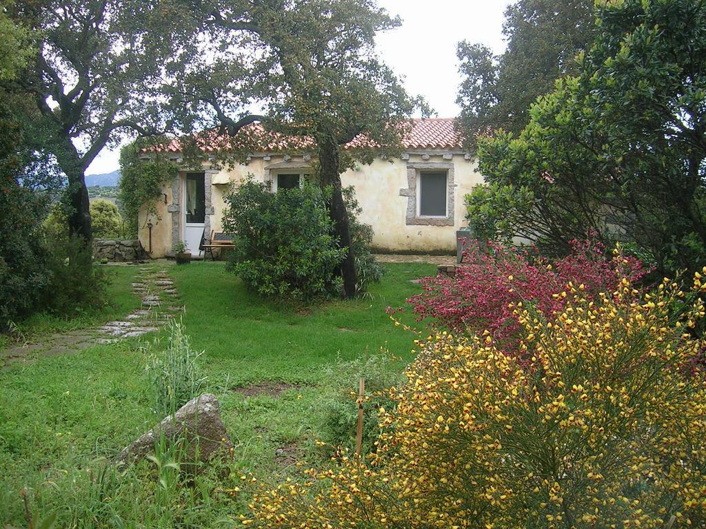 La Scala Guesthouse Berchiddeddu Exterior photo