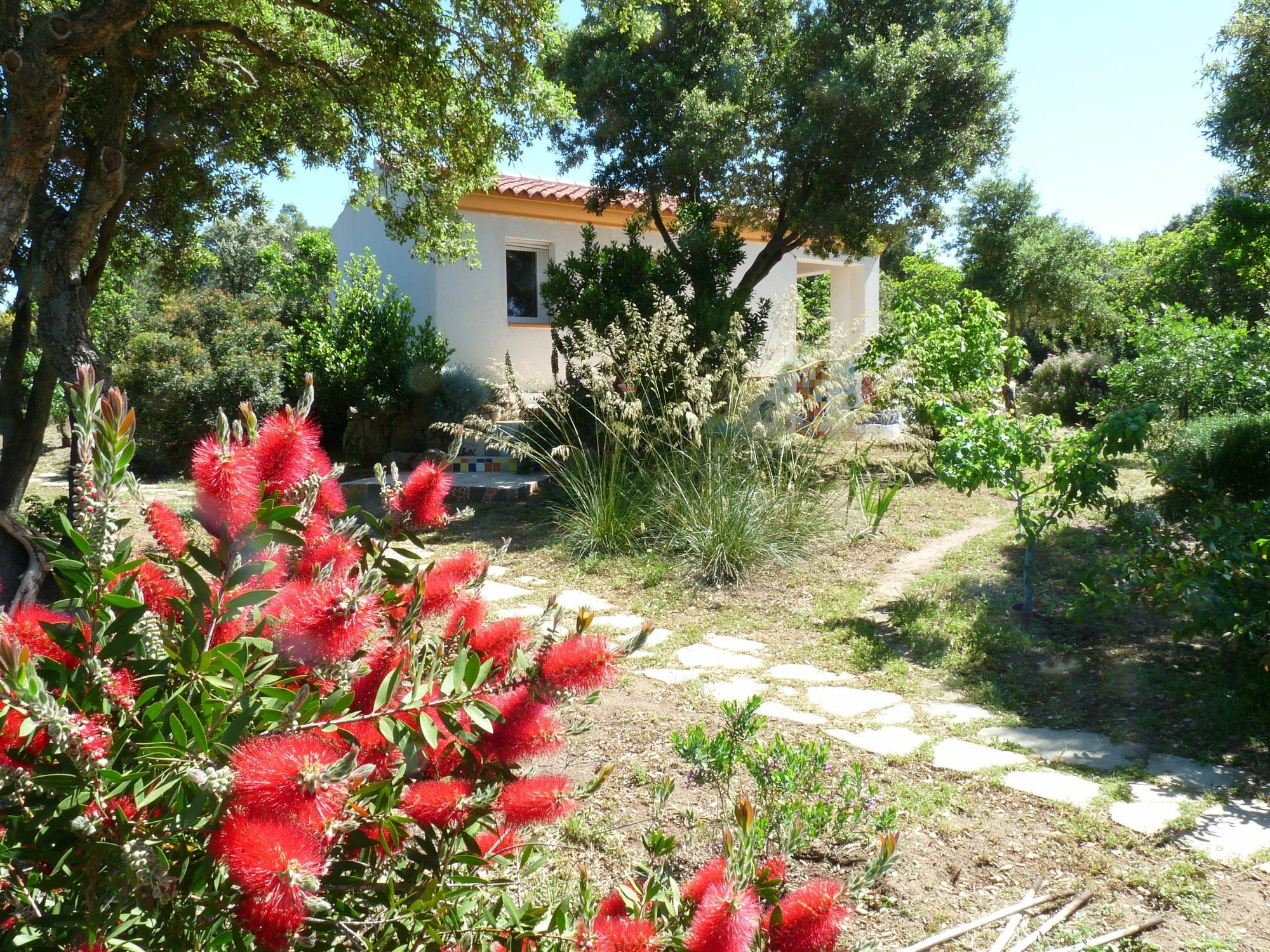 La Scala Guesthouse Berchiddeddu Exterior photo